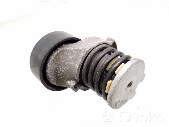 Seat Ibiza IV (6J,6P) Napinacz paska wielorowkowego / Alternatora 03C145299C