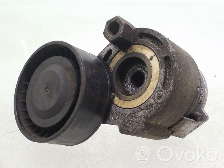 Renault Megane II Napinacz paska wielorowkowego / Alternatora 117503662R