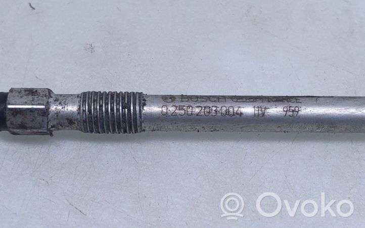 Volvo S60 Glow plug 0250203004