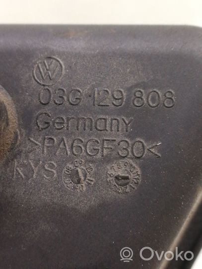 Volkswagen PASSAT B6 Serbatoio per sospensioni pneumatiche 03G129808