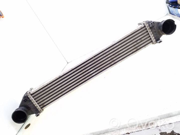 Mercedes-Benz B W245 Chłodnica powietrza doładowującego / Intercooler A1695000000