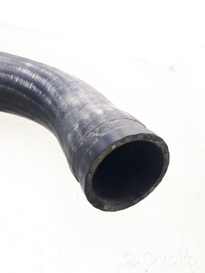 Volkswagen PASSAT B5 Intercooler hose/pipe 