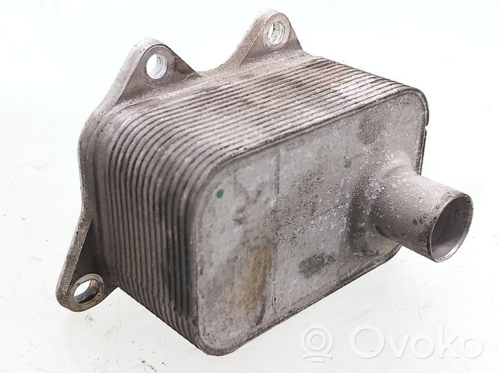 Volkswagen PASSAT B6 Oil filter mounting bracket 06J117021J