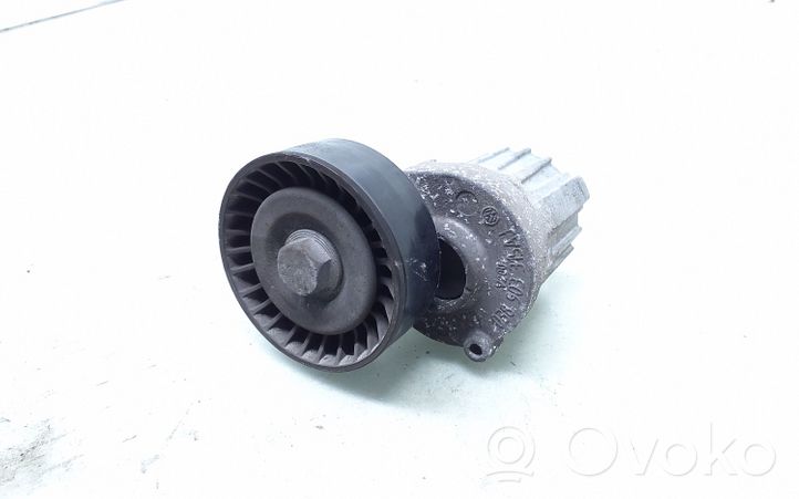 Nissan NV200 Napinacz paska wielorowkowego / Alternatora 038903315AJ