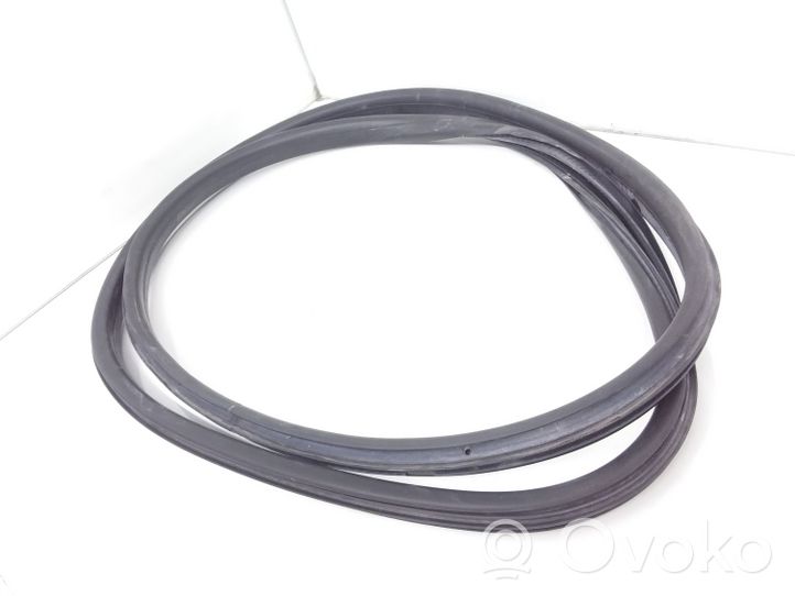 Renault Megane III Front door rubber seal 