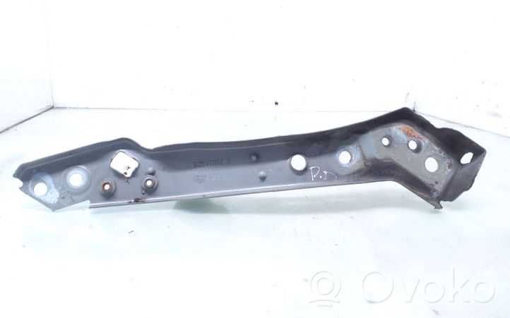 Renault Megane III Pannello laterale di supporto del radiatore 6251206E