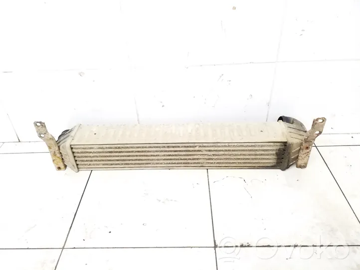 Volkswagen Sharan Radiatore intercooler 7M3145805