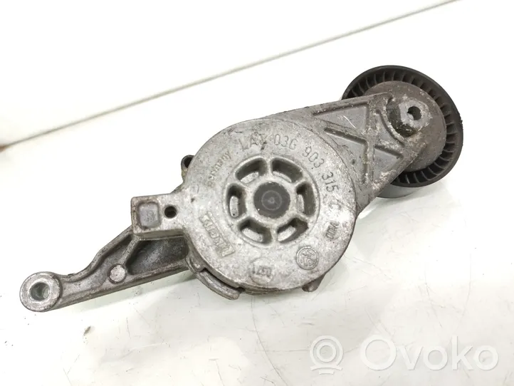 Audi A3 S3 8P Lichtmaschine Riemenspanner Spannrolle Keilrippenriemen Keilriemen 03G903315C