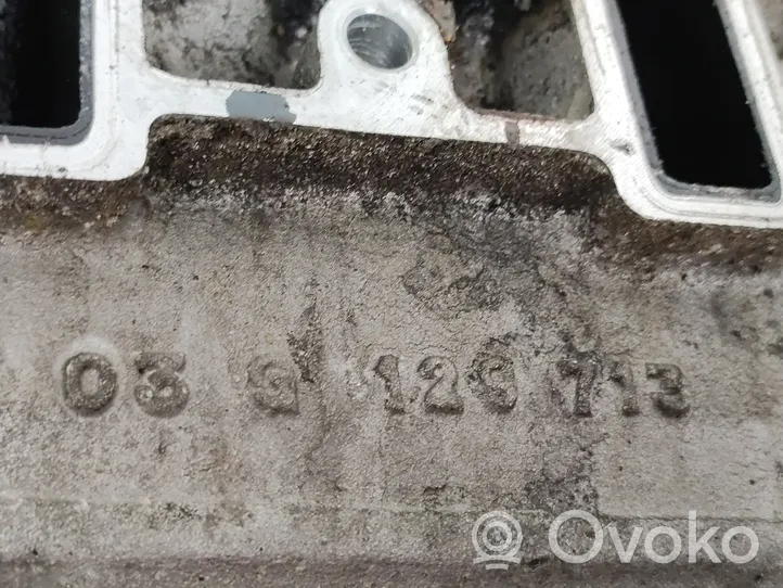 Volkswagen Touran I Kolektorius įsiurbimo 03G129713