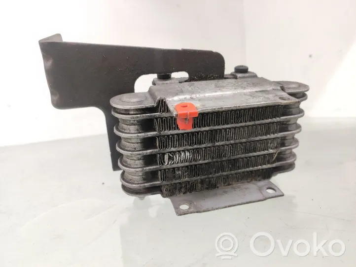 BMW 5 E39 Radiatore del carburatore (radiatore) 13322247411