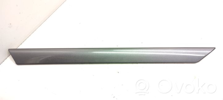 BMW 3 E46 Moulure/baguette de porte avant 51418200753