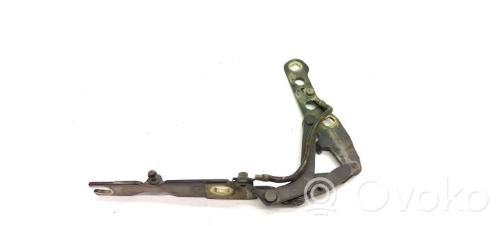 BMW 3 E46 Cerniere del vano motore/cofano 41618200123