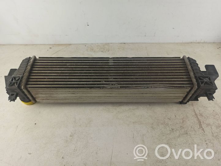 BMW 2 F45 Chłodnica powietrza doładowującego / Intercooler 1751761759805