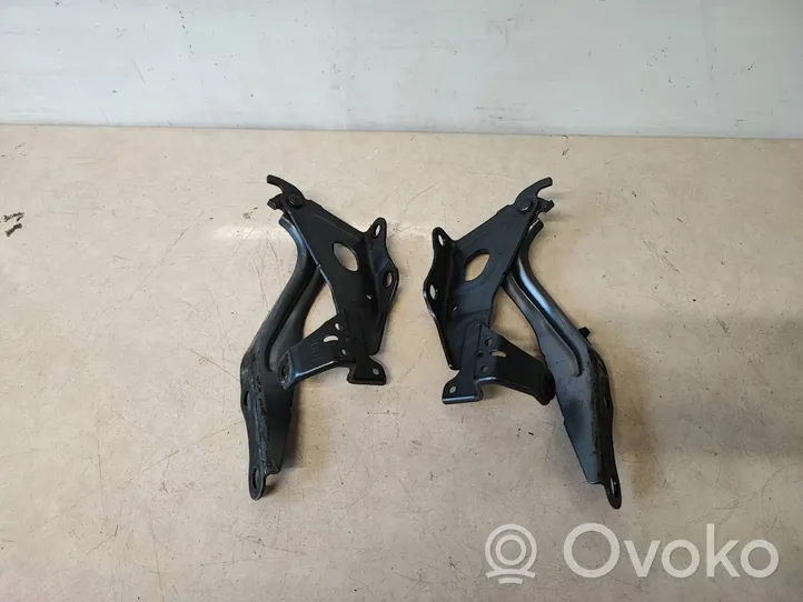 Lexus UX Engine bonnet/hood hinges 