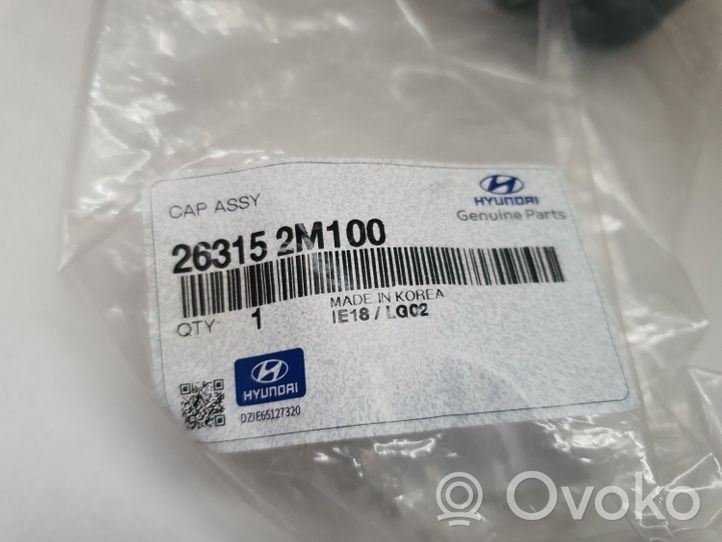 Hyundai Tucson IV NX4 Öljynsuodattimen kansi 263152M100