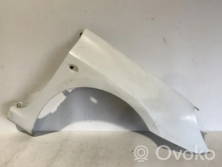 Peugeot 307 Fender 