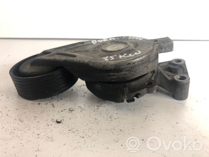 Volkswagen Bora Napinacz paska wielorowkowego / Alternatora 038903315AE