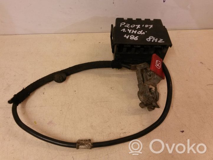 Peugeot 207 Cavo positivo (batteria) 9656984480