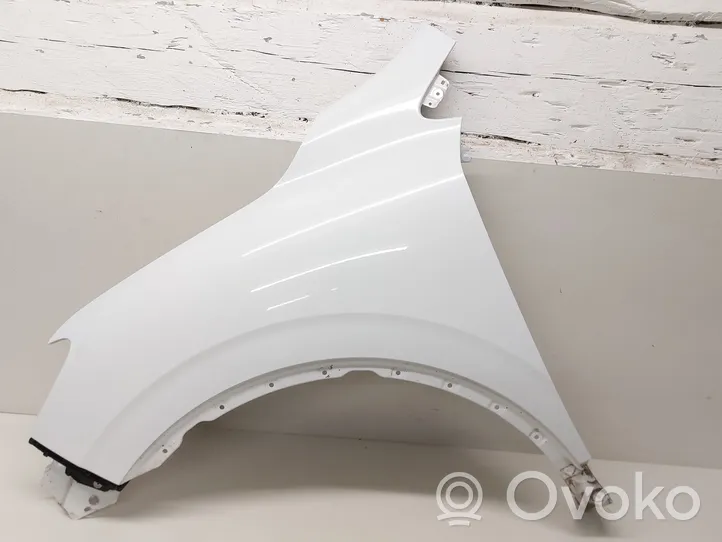 Renault Kadjar Fender 