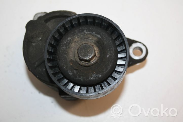 Volvo V70 Tendicinghia generatore/alternatore 