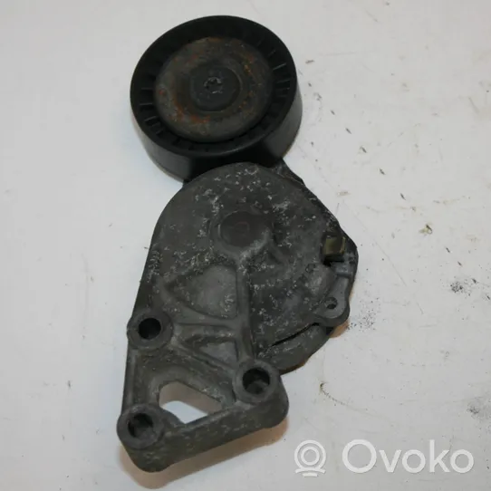 Volkswagen Golf V Napinacz paska wielorowkowego / Alternatora 036903315