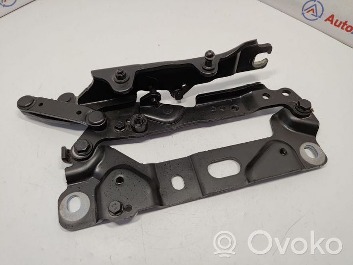 BMW 5 F10 F11 Cerniere del vano motore/cofano 7191327