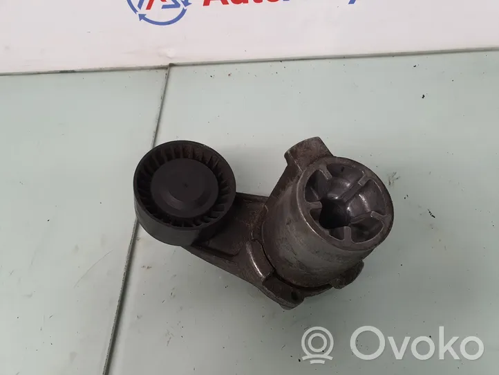 BMW X3 F25 Tensor de correa del alternador 8604266