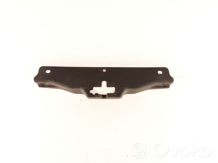 Hyundai Santa Fe Plaque avant support serrure de capot 8119526000