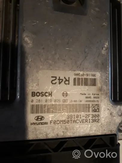 Hyundai Santa Fe Sterownik / Moduł ECU 391012F300