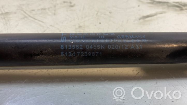 BMW 1 F20 F21 Gasdruckfeder Dämpfer Heckklappe Kofferraumdeckel 7239871