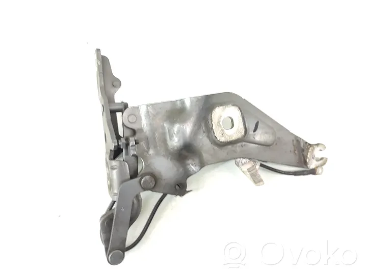 BMW X5 E70 Cerniere del vano motore/cofano 7208628