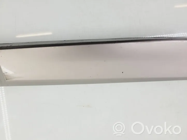 Renault Megane III Rear door trim (molding) 828767927