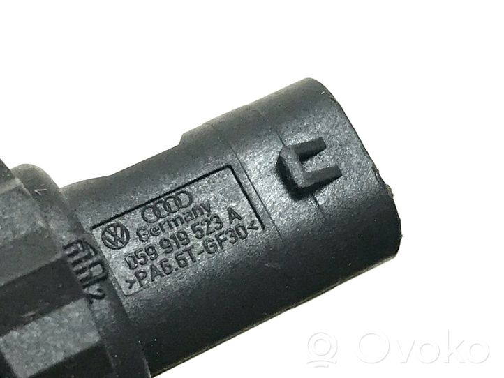 Audi A4 S4 B8 8K Sensore temperatura del carburante 059919523A