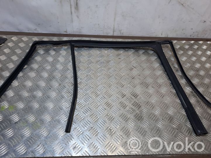 Volkswagen Tiguan Rivestimento modanatura del vetro della portiera posteriore 5N0039431F