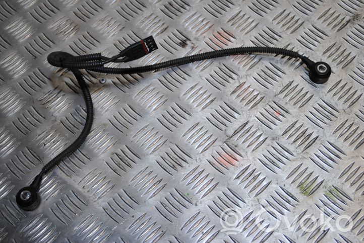 BMW 5 GT F07 Sensor de petardeo del motor 753170501