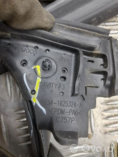 Ford F150 Galinių durų sandarinimo guma FL341625324A