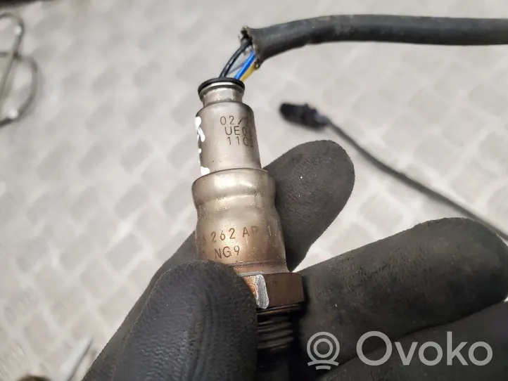 Volkswagen Atlas Sonde lambda 03H906262AP