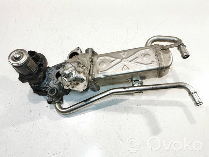 Volkswagen Polo V 6R EGR valve 117255109