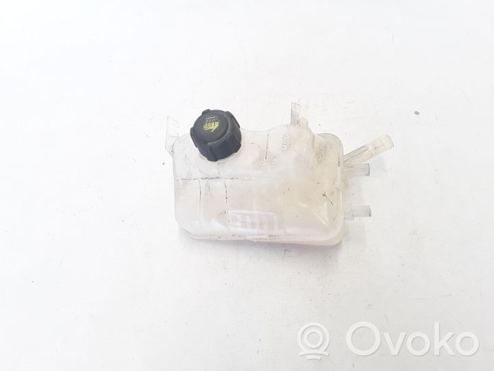 Renault Megane III Vase d'expansion / réservoir de liquide de refroidissement 217100005R