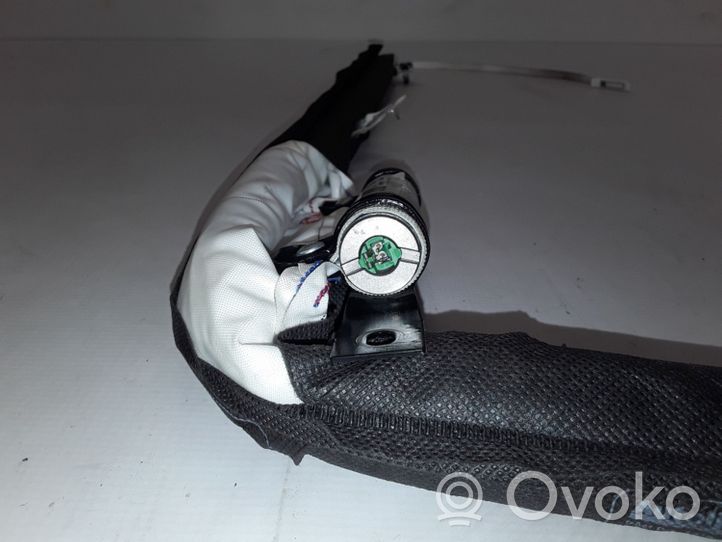 Renault Megane III Airbag de toit 620667900C