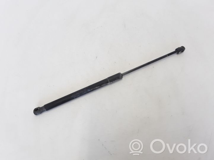 Renault Megane III Tailgate strut 844300009R