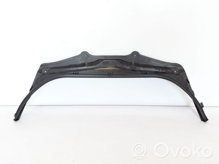 BMW 5 G30 G31 Rivestimento della modanatura della chiusura del vano motore/cofano 51717340207