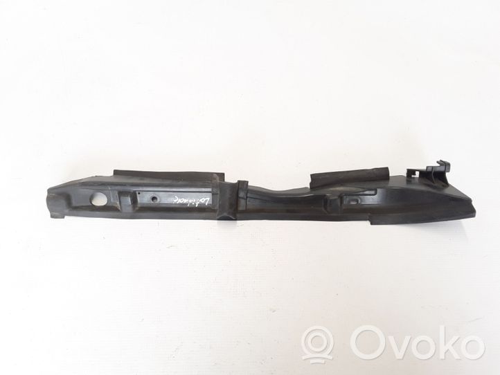 Renault Latitude (L70) Plaque avant support serrure de capot 668630013R