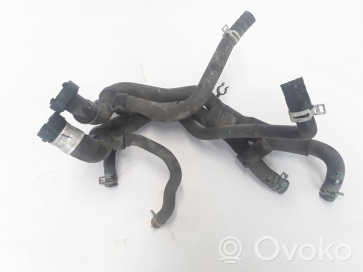 Renault Latitude (L70) Engine coolant pipe/hose 215039295R