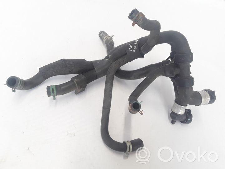 Renault Latitude (L70) Tuyau de liquide de refroidissement moteur 215039295R