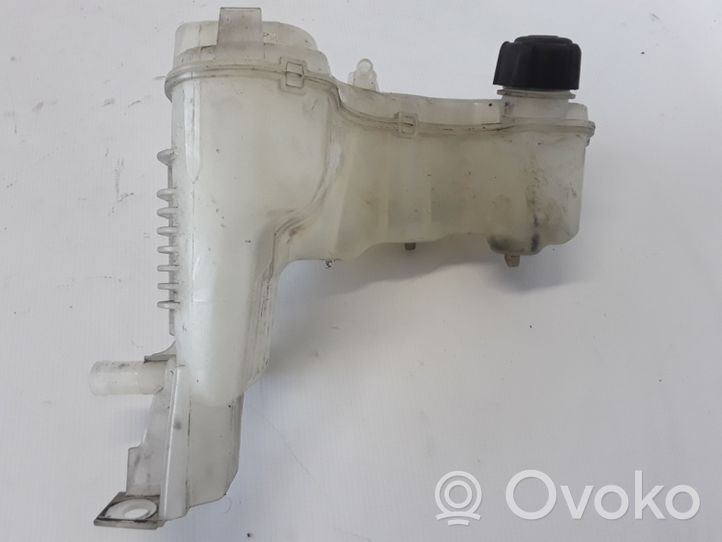 Renault Latitude (L70) Serbatoio di compensazione del liquido refrigerante/vaschetta 217100014R