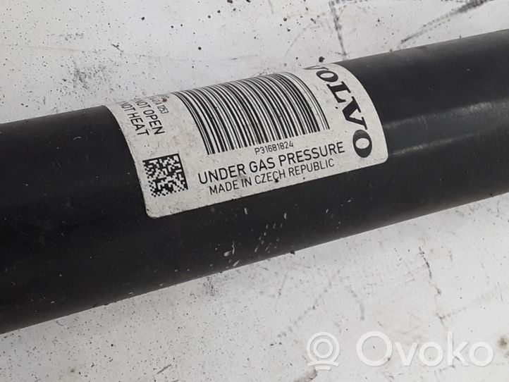 Volvo XC60 Rear shock absorber/damper 31681824