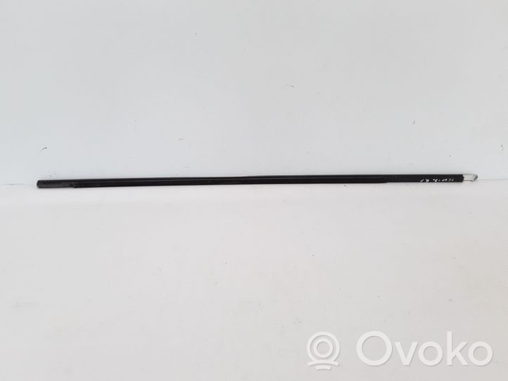 Volvo XC60 Front door glass trim molding 31385844