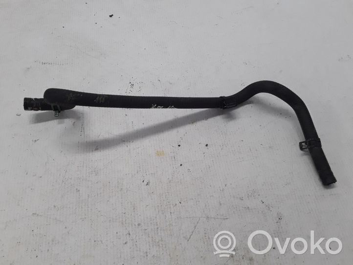 Renault Zoe Tubo flessibile del liquido di raffreddamento del motore 217419746R