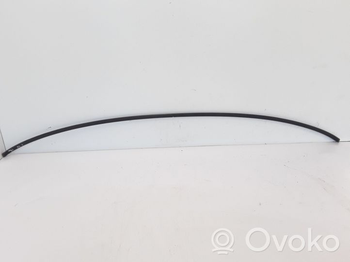 Volvo V60 Rubber seal front coupe door window 30799663